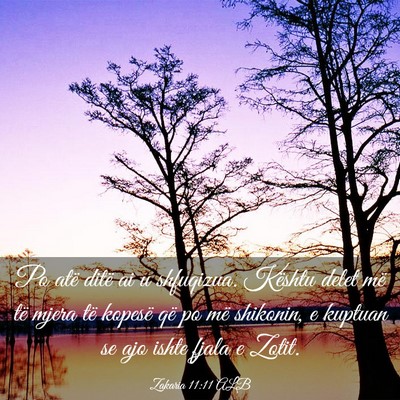 Picture 03 - Zakaria 11:11 ALB - Po atë ditë ai u shfuqizua. Kështu delet më - Bible Verse Picture