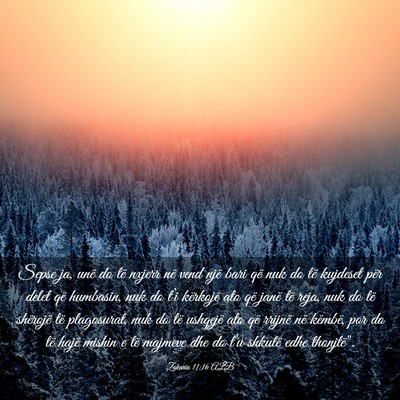 Picture 03 - Zakaria 11:16 ALB - Sepse ja, unë do të nxjerr në vend një bari - Bible Verse Picture