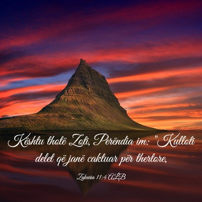 Picture 03 - Zakaria 11:4 ALB - Kështu thotë Zoti, Perëndia im: 