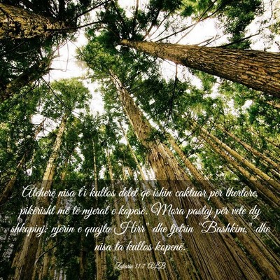 Picture 03 - Zakaria 11:7 ALB - Atëherë nisa t’i kullos delet që ishin - Bible Verse Picture