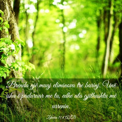 Picture 03 - Zakaria 11:8 ALB - Brenda një muaj eliminova tre barinj. Unë isha - Bible Verse Picture