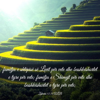 Picture 03 - Zakaria 12:13 ALB - familja e shtëpisë së Levit për vete dhe - Bible Verse Picture