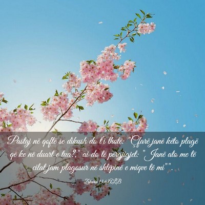 Picture 03 - Zakaria 13:6 ALB - Pastaj në qoftë se dikush do t’i thotë: - Bible Verse Picture