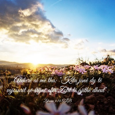 Picture 03 - Zakaria 4:14 ALB - Atëherë ai më tha: 