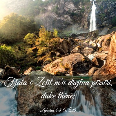Picture 03 - Zakaria 4:8 ALB - Fjala e Zotit m’u drejtua përsëri, duke - Bible Verse Picture