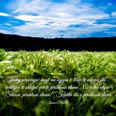 Picture 03 - Zakaria 6:7 ALB - pastaj përparojnë kuajt me ngjyrë të kuqe të - Bible Verse Picture