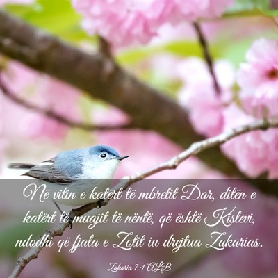 Picture 03 - Zakaria 7:1 ALB - Në vitin e katërt të mbretit Dar, ditën e - Bible Verse Picture