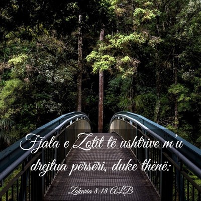 Picture 03 - Zakaria 8:18 ALB - Fjala e Zotit të ushtrive m’u drejtua - Bible Verse Picture