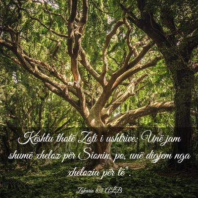Picture 03 - Zakaria 8:2 ALB - Kështu thotë Zoti i ushtrive: Unë jam shumë - Bible Verse Picture