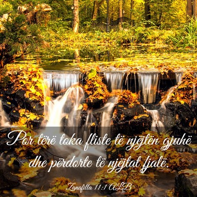 Picture 03 - Zanafilla 11:1 ALB - Por tërë toka fliste të njëjtën gjuhë dhe - Bible Verse Picture