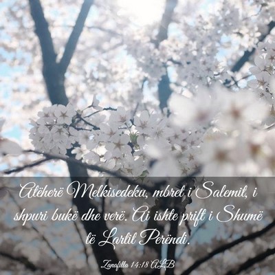Picture 03 - Zanafilla 14:18 ALB - Atëherë Melkisedeku, mbret i Salemit, i shpuri - Bible Verse Picture