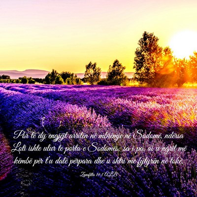 Picture 03 - Zanafilla 19:1 ALB - Por të dy engjëjt arritën në mbrëmje në - Bible Verse Picture