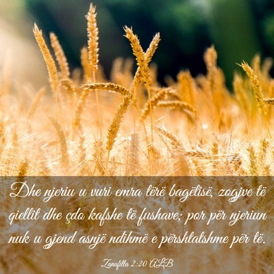 Picture 03 - Zanafilla 2:20 ALB - Dhe njeriu u vuri emra tërë bagëtisë, zogjve - Bible Verse Picture