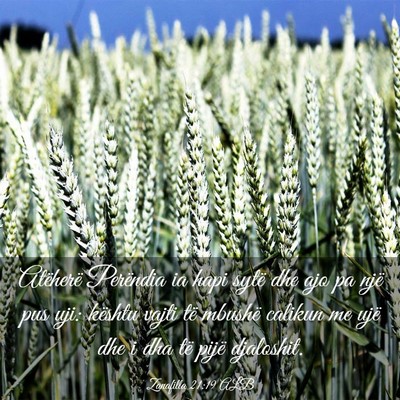 Picture 03 - Zanafilla 21:19 ALB - Atëherë Perëndia ia hapi sytë dhe ajo pa një - Bible Verse Picture