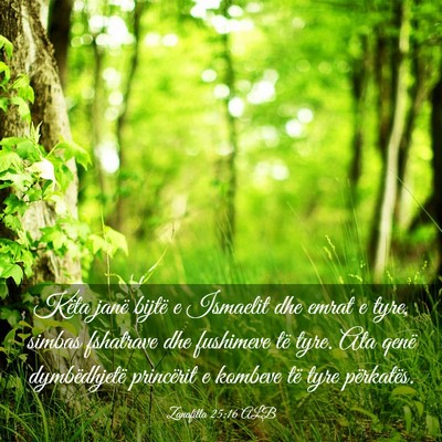 Picture 03 - Zanafilla 25:16 ALB - Këta janë bijtë e Ismaelit dhe emrat e tyre, - Bible Verse Picture