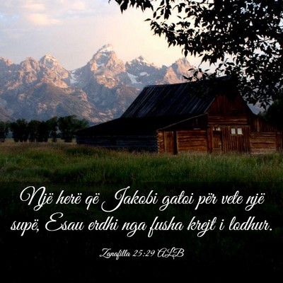 Picture 03 - Zanafilla 25:29 ALB - Një herë që Jakobi gatoi për vete një supë, - Bible Verse Picture