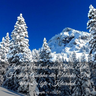 Picture 03 - Zanafilla 25:4 ALB - Bijtë e Madianit ishin Efahu, Eferi, Hanoku, - Bible Verse Picture