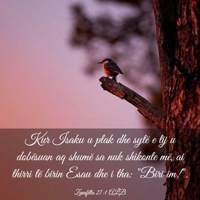Picture 03 - Zanafilla 27:1 ALB - Kur Isaku u plak dhe sytë e tij u dobësuan aq - Bible Verse Picture