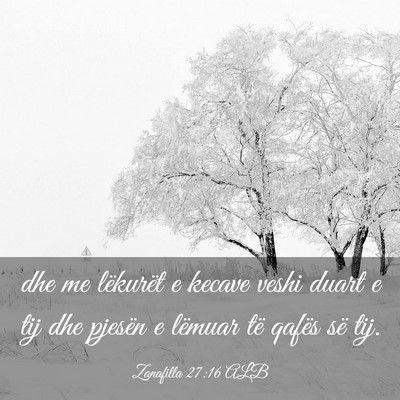 Picture 03 - Zanafilla 27:16 ALB - dhe me lëkurët e kecave veshi duart e tij dhe - Bible Verse Picture