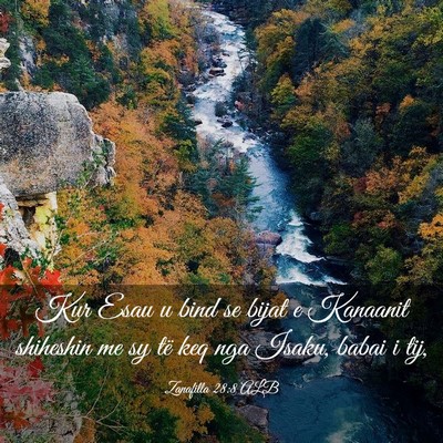 Picture 03 - Zanafilla 28:8 ALB - Kur Esau u bind se bijat e Kanaanit shiheshin me - Bible Verse Picture