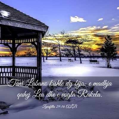 Picture 03 - Zanafilla 29:16 ALB - Tani Labano kishte dy bija: e madhja quhej Lea - Bible Verse Picture