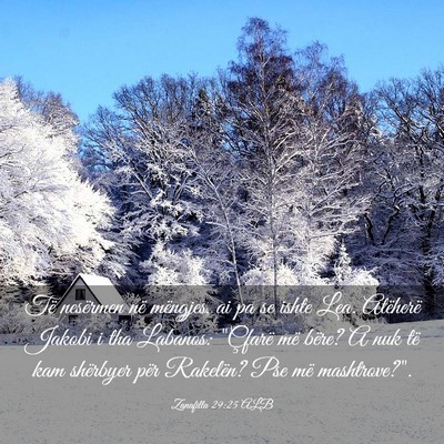 Picture 03 - Zanafilla 29:25 ALB - Të nesërmen në mëngjes, ai pa se ishte Lea. - Bible Verse Picture