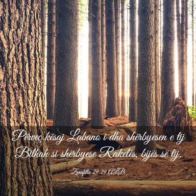 Picture 03 - Zanafilla 29:29 ALB - Përveç kësaj Labano i dha shërbyesen e tij - Bible Verse Picture