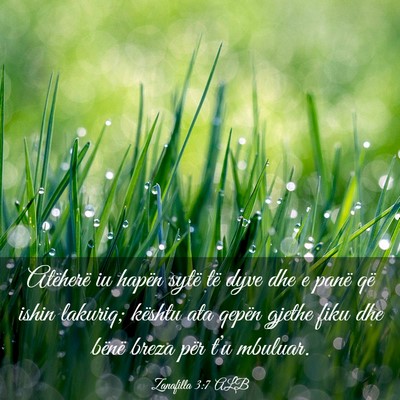 Picture 03 - Zanafilla 3:7 ALB - Atëherë iu hapën sytë të dyve dhe e panë - Bible Verse Picture