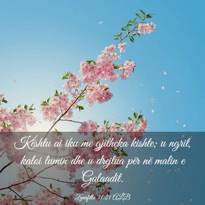Picture 03 - Zanafilla 31:21 ALB - Kështu ai iku me gjithçka kishte; u ngrit, - Bible Verse Picture