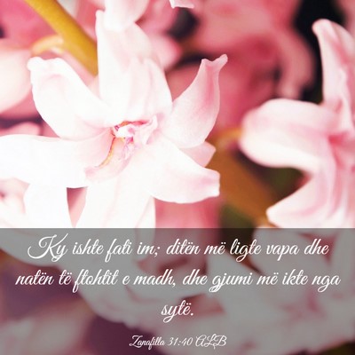 Picture 03 - Zanafilla 31:40 ALB - Ky ishte fati im; ditën më ligte vapa dhe - Bible Verse Picture