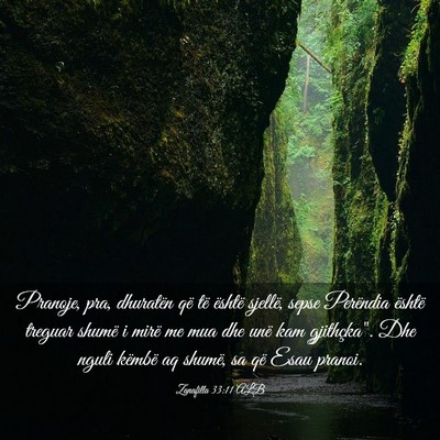 Picture 03 - Zanafilla 33:11 ALB - Pranoje, pra, dhuratën që të është sjellë, - Bible Verse Picture