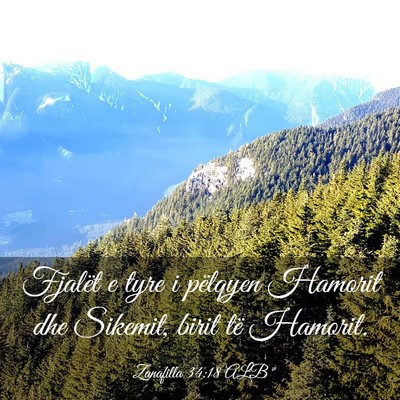 Picture 03 - Zanafilla 34:18 ALB - Fjalët e tyre i pëlqyen Hamorit dhe Sikemit, - Bible Verse Picture