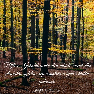 Picture 03 - Zanafilla 34:27 ALB - Bijtë e Jakobit u vërsulën mbi të vrarët dhe - Bible Verse Picture
