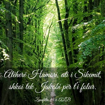 Picture 03 - Zanafilla 34:6 ALB - Atëherë Hamori, ati i Sikemit, shkoi tek Jakobi - Bible Verse Picture