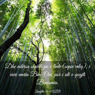 Picture 03 - Zanafilla 35:18 ALB - Dhe ndërsa shpirti po e linte (sepse vdiq), i - Bible Verse Picture