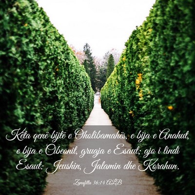 Picture 03 - Zanafilla 36:14 ALB - Këta qenë bijtë e Oholibamahës, e bija e - Bible Verse Picture