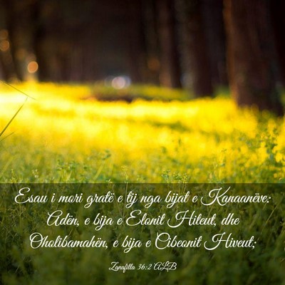 Picture 03 - Zanafilla 36:2 ALB - Esau i mori gratë e tij nga bijat e Kanaanëve: - Bible Verse Picture