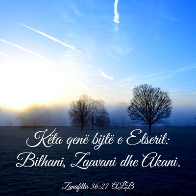 Picture 03 - Zanafilla 36:27 ALB - Këta qenë bijtë e Etserit: Bilhani, Zaavani - Bible Verse Picture