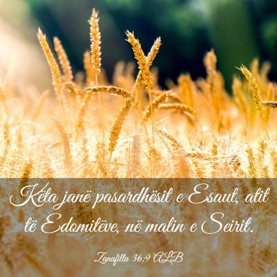Picture 03 - Zanafilla 36:9 ALB - Këta janë pasardhësit e Esaut, atit të - Bible Verse Picture