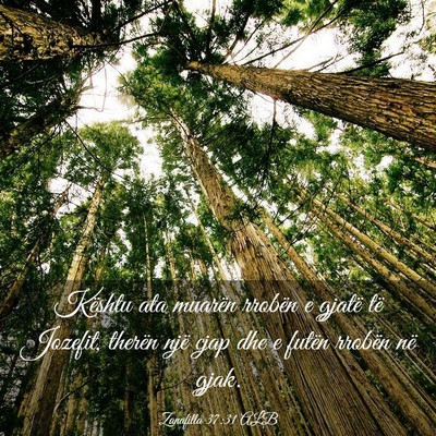 Picture 03 - Zanafilla 37:31 ALB - Kështu ata muarën rrobën e gjatë të Jozefit, - Bible Verse Picture