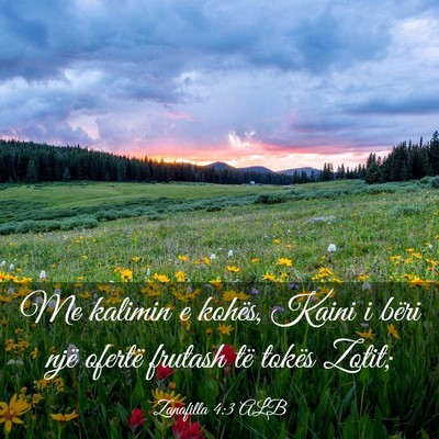 Picture 03 - Zanafilla 4:3 ALB - Me kalimin e kohës, Kaini i bëri një ofertë - Bible Verse Picture