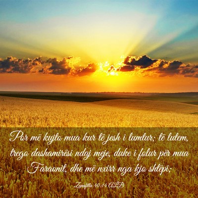 Picture 03 - Zanafilla 40:14 ALB - Por më kujto mua kur të jesh i lumtur; të - Bible Verse Picture