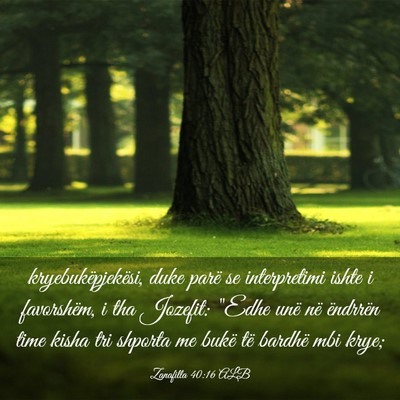 Picture 03 - Zanafilla 40:16 ALB - kryebukëpjekësi, duke parë se interpretimi - Bible Verse Picture