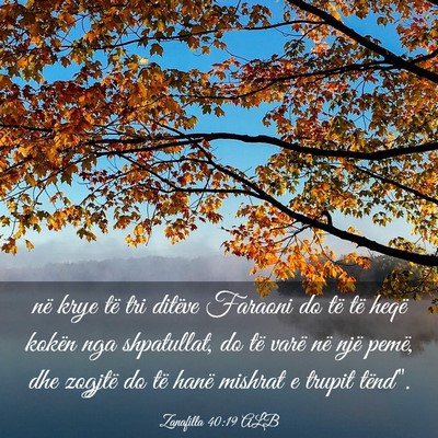 Picture 03 - Zanafilla 40:19 ALB - në krye të tri ditëve Faraoni do të të heqë - Bible Verse Picture