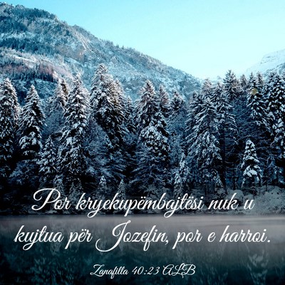 Picture 03 - Zanafilla 40:23 ALB - Por kryekupëmbajtësi nuk u kujtua për Jozefin, - Bible Verse Picture