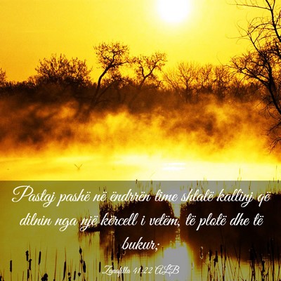 Picture 03 - Zanafilla 41:22 ALB - Pastaj pashë në ëndrrën time shtatë kallinj - Bible Verse Picture