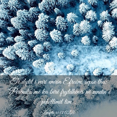 Picture 03 - Zanafilla 41:52 ALB - Të dytit i vuri emrin Efraim, sepse tha: - Bible Verse Picture