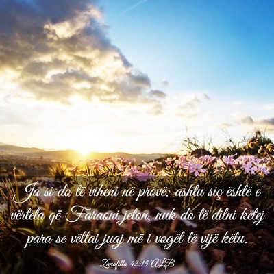 Picture 03 - Zanafilla 42:15 ALB - Ja si do të viheni në provë: ashtu siç - Bible Verse Picture