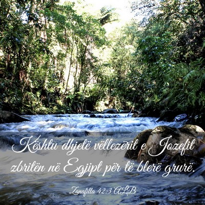 Picture 03 - Zanafilla 42:3 ALB - Kështu dhjetë vëllezërit e Jozefit zbritën - Bible Verse Picture