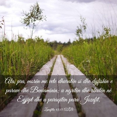 Picture 03 - Zanafilla 43:15 ALB - Ata, pra, morën me vete dhuratën si dhe - Bible Verse Picture